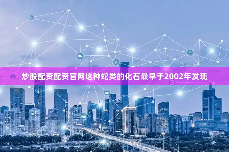 炒股配资配资官网这种蛇类的化石最早于2002年发现