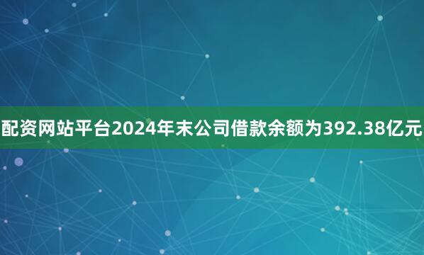 配资网站平台2024年末公司借款余额为392.38亿元