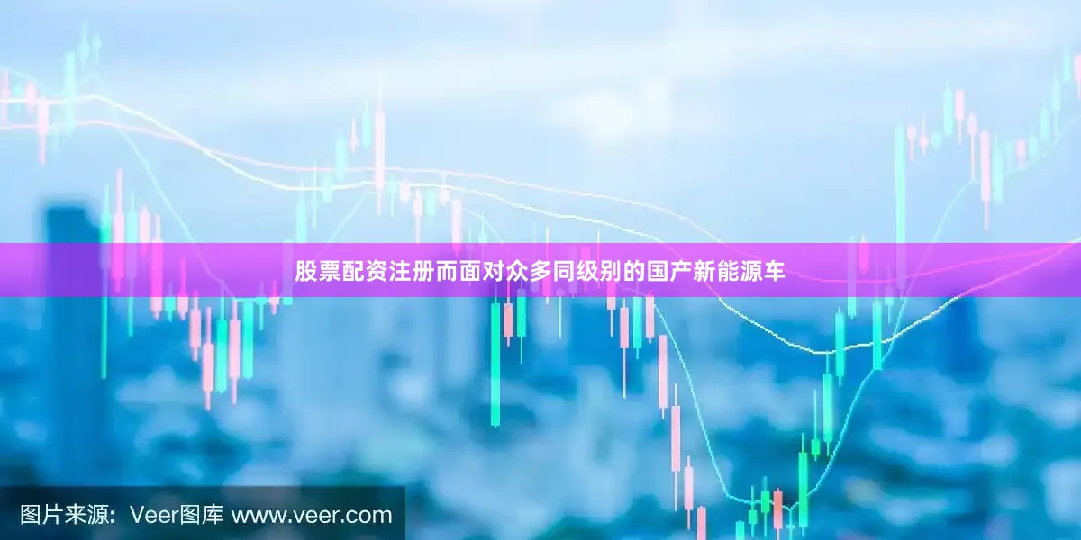 股票配资注册而面对众多同级别的国产新能源车