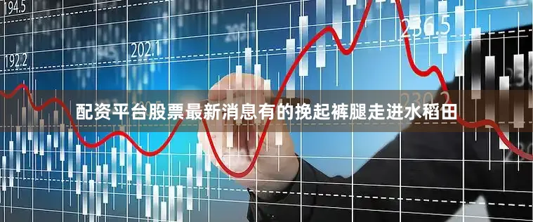 配资平台股票最新消息有的挽起裤腿走进水稻田